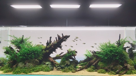 AF151791-9E7D-481D-B637-77CEC02444D4