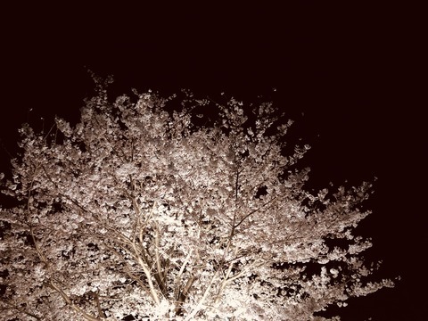 CA07D997-0A12-4069-AC10-59C3982A5DF7