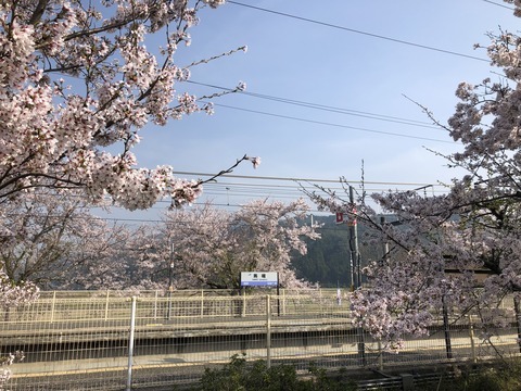 3D900741-A48F-4AAA-9A12-1F917A99DD12