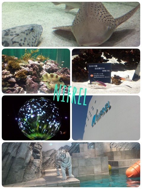 16-05-06-17-41-38-141_deco