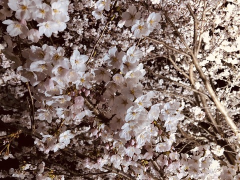 C29FF2F7-B916-48C0-8BCF-DC57A58AB7C1