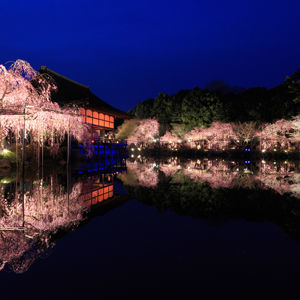 top_photo