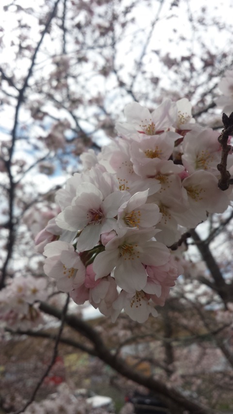 20160402_105833