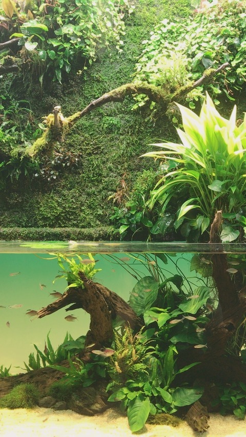 DD66109B-8F75-4B1A-A192-CB2BE491AF1A