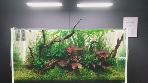 3F5F9A4C-13F7-46E4-BD08-28E2B88A576F